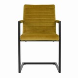 Eetkamerstoel Colorado | Mosterdgeel