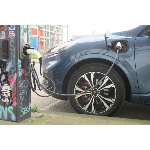 EV Cable Hook Kabelhaak