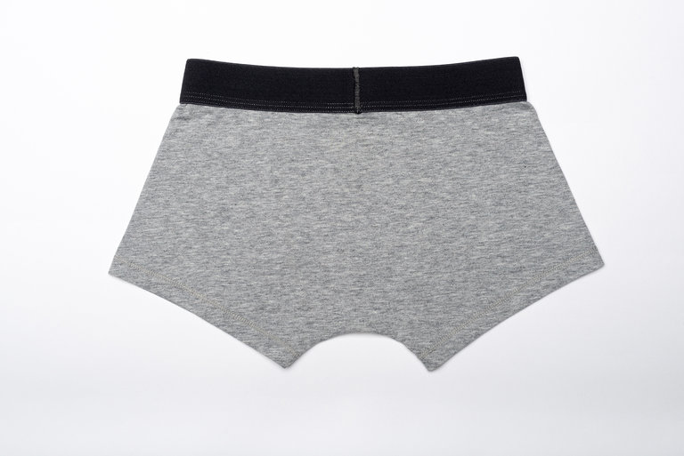 SAM Super soft sustainable boxer briefs with seamless feeling, no labels