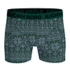 Bjorn Borg 9-pack heren boxershort - Kerstmis Green