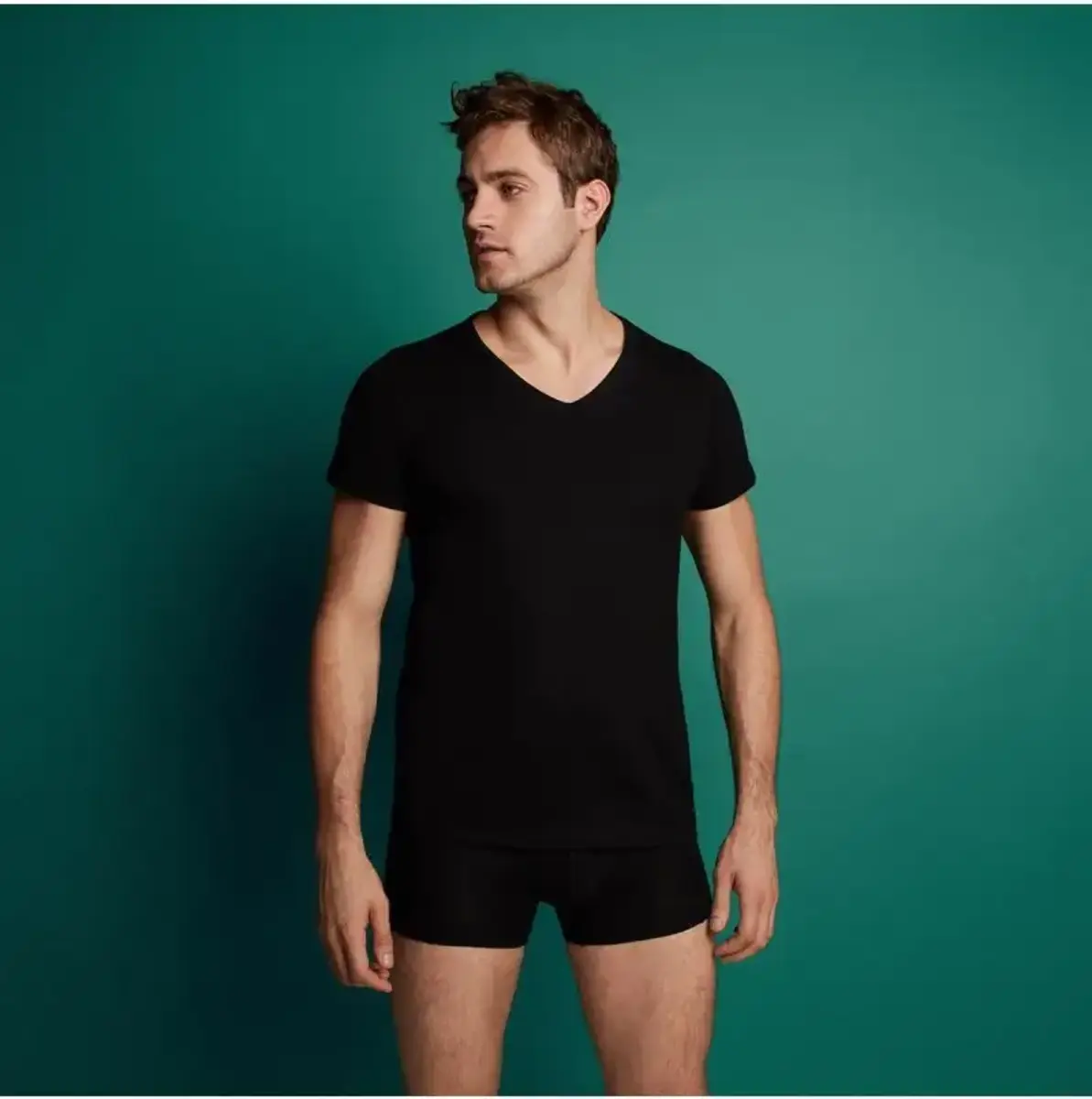 Ten Cate heren T-Shirt V-hals 2-Pack- 30870 Ten Cate heren T-Shirt V-hals 2-Pack- 30870