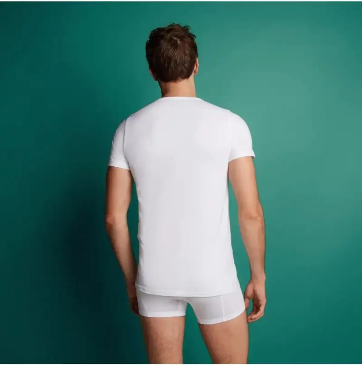 Ten Cate heren T-Shirt V-hals 2-Pack- 30870 Ten Cate heren T-Shirt V-hals 2-Pack- 30870