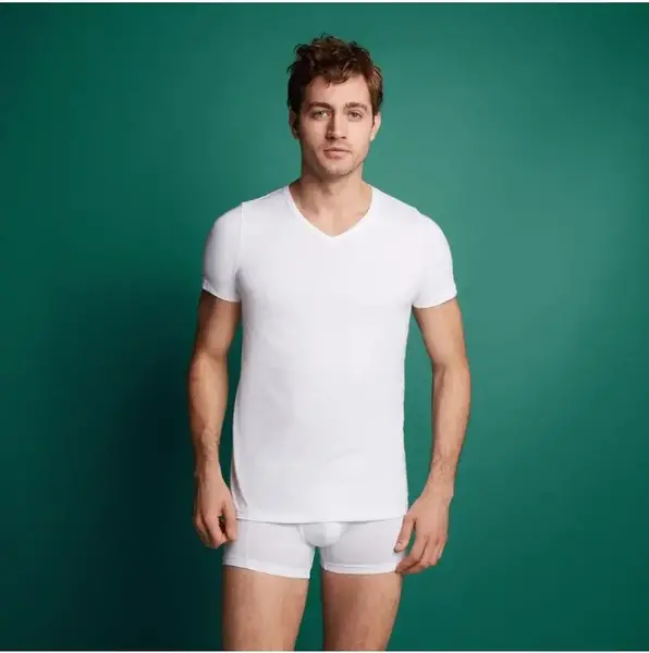 Ten Cate heren T-Shirt V-hals 2-Pack- 30870 Ten Cate heren T-Shirt V-hals 2-Pack- 30870