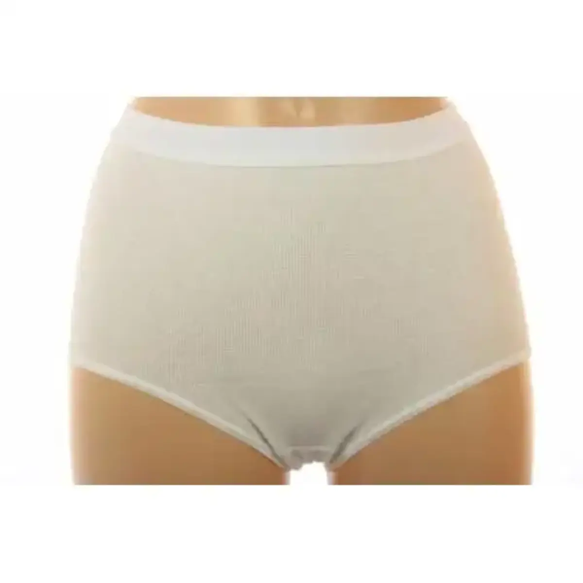 HL-Tricot dames Comfort taille slip HL-Tricot dames Comfort taille slip