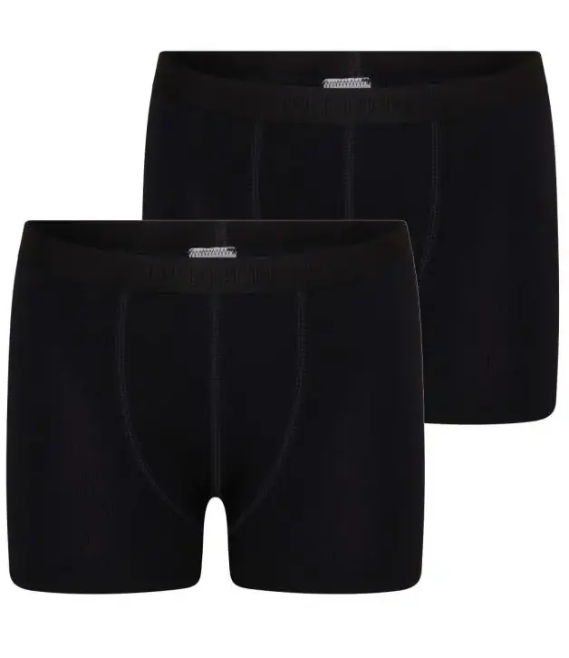 Beeren 2-pak Young jongens boxershort microfiber - Jongens onderbroek - korte pijpjes