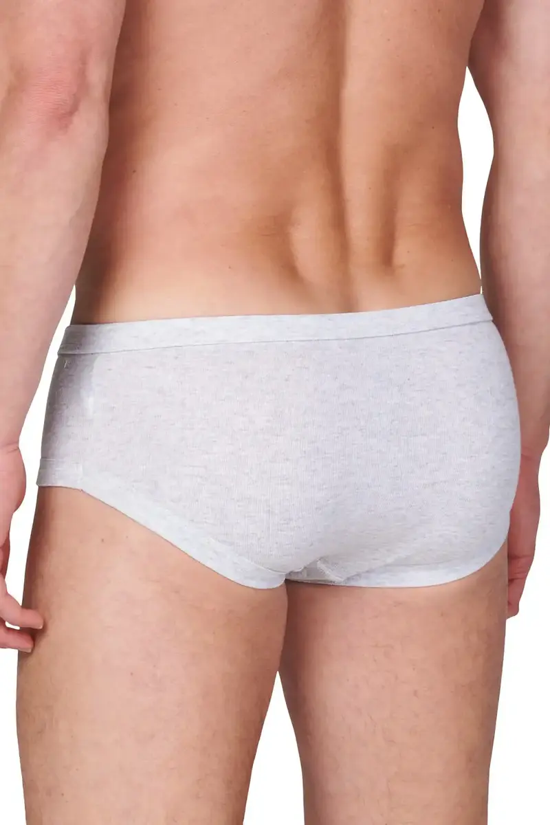 HL-tricot heren slip met gulp, Flatlock - Heren onderbroeken met sluiting - Katoenen ondergoed