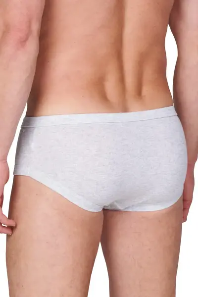 HL-tricot heren slip met gulp, Flatlock - Heren onderbroeken met sluiting - Katoenen ondergoed HL-tricot heren slip met gulp, Flatlock - Heren onderbroeken met sluiting - Katoenen ondergoed