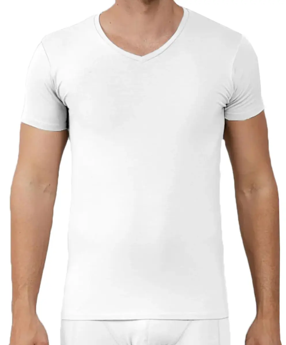 Apollo 2-pack heren T-shirts - Bamboe V-hals - Mannen ondershirt korte mouwen