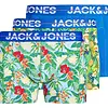 Jack & Jones heren boxershorts 3-Pack - Pineapple