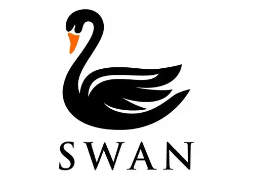 Swan