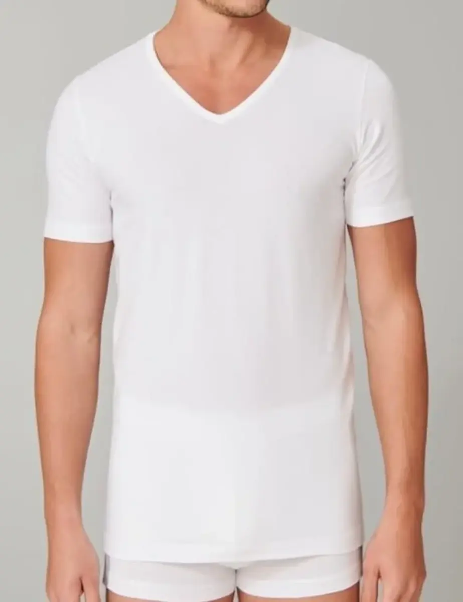 Schiesser 2-Pack T-Shirts heren V-hals - 95/5  - Biologisch katoen
