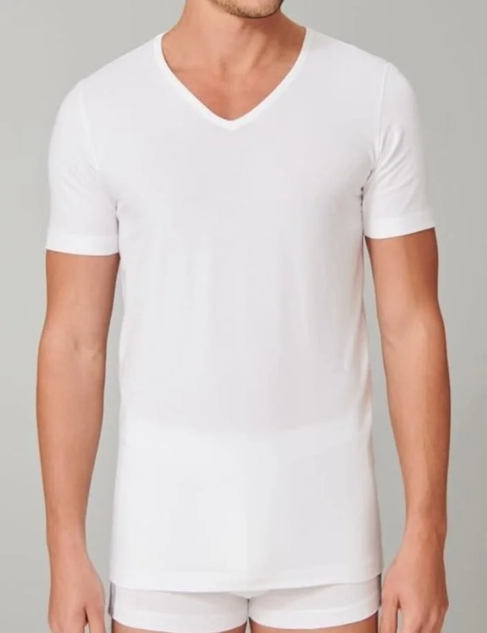 Schiesser 2-Pack T-Shirts heren V-hals - 95/5 - Biologisch katoen