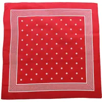 Tiseco Boeren zakdoek rood stippel 55 x 55 cm