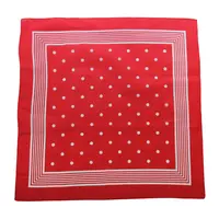Tiseco Boeren zakdoek rood stippel 55 x 55 cm Tiseco Boeren zakdoek rood stippel 55 x 55 cm