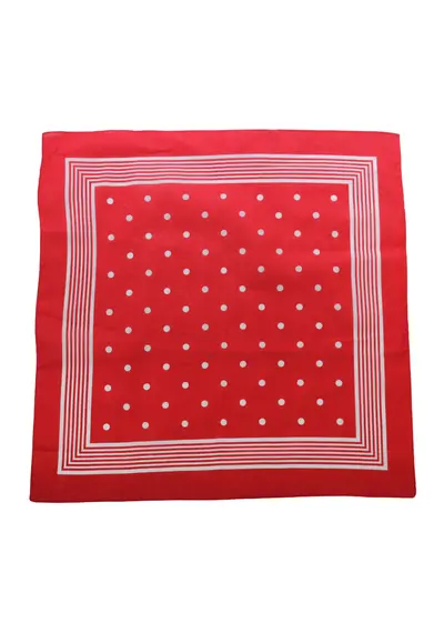 Tiseco Boeren zakdoek rood stippel 55 x 55 cm Tiseco Boeren zakdoek rood stippel 55 x 55 cm