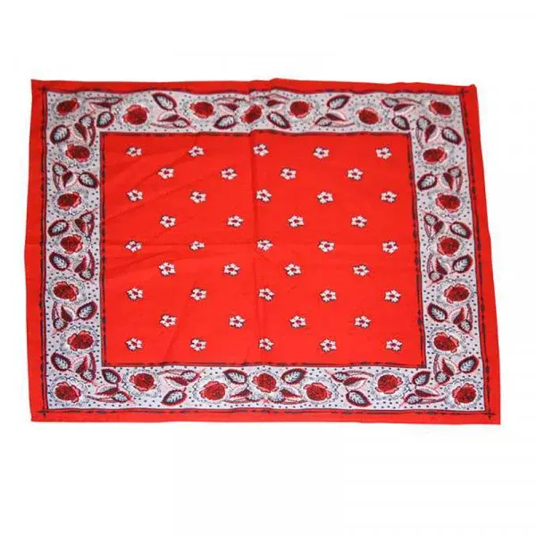 Boeren zakdoek rood Kleine Bloem 55 x 55 cm - Rode zakdoek Boeren zakdoek rood Kleine Bloem 55 x 55 cm - Rode zakdoek