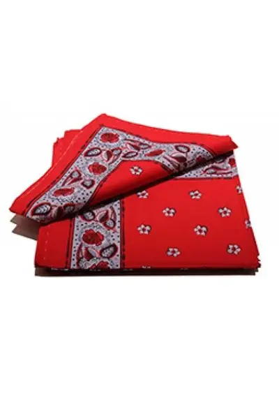 Boerenzakdoek rood Kleine Bloem 55 x 55 cm Boerenzakdoek rood Kleine Bloem 55 x 55 cm