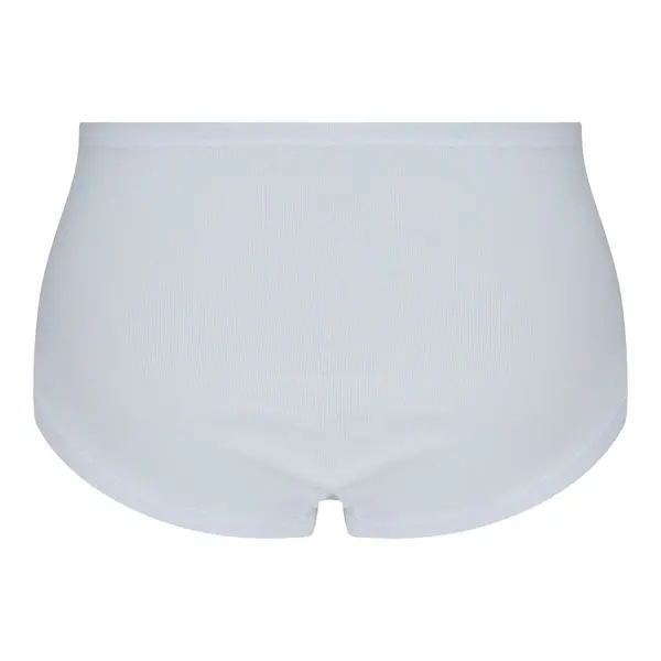 Beeren 2-pak dames taille slip Diana  - Dames onderbroek - Katoenen ondergoed dames - klassiek ondergoed Beeren 2-pak dames taille slip Diana  - Dames onderbroek - Katoenen ondergoed dames - klassiek ondergoed