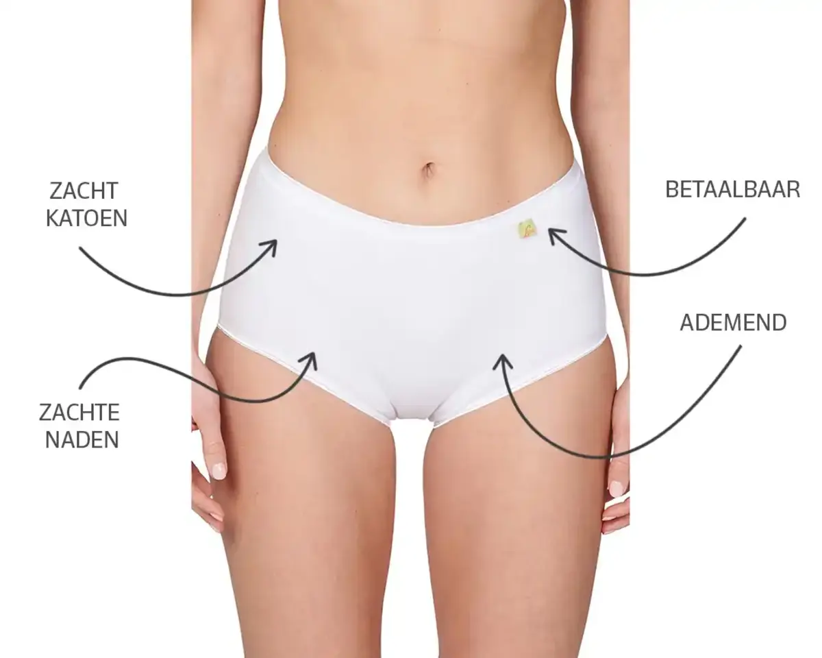 Lunatex onderbroek dames katoen - tailleslip - Dames ondergoed betaalbaar