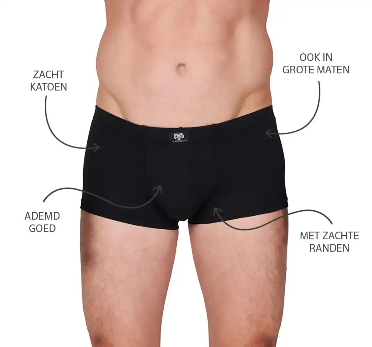 Ceceba 2-pak heren lage boxershorts - 2700 - grote maten ondergoed mannen - onderbroek