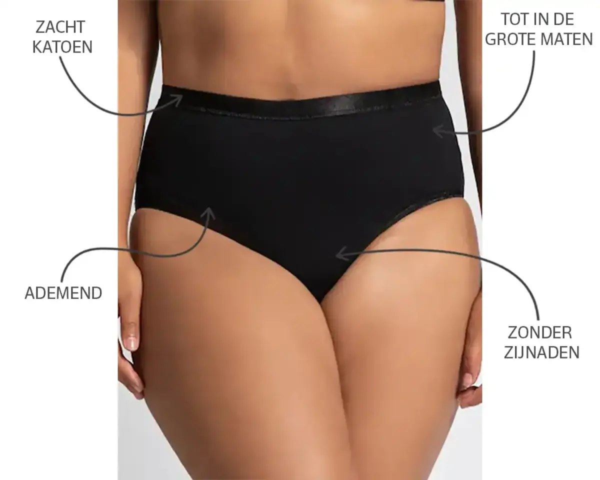 Beeren Comfort XL dames slip - Grote maten onderbroeken - Dames ondergoed badstof kruisje Beeren Comfort XL dames slip - Grote maten onderbroeken - Dames ondergoed badstof kruisje