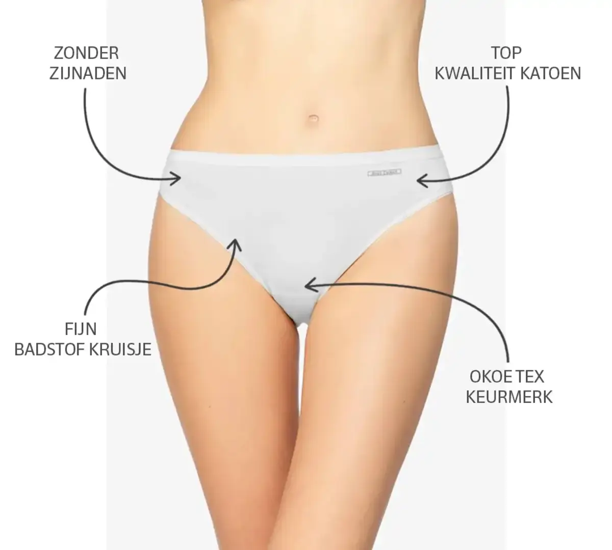 Avet dames slip Tai 33069 - Katoen - Rio slip - hoog opgesneden - katoenen ondergoed - dames onderbroek Avet dames slip Tai 33069 - Katoen - Rio slip - hoog opgesneden - katoenen ondergoed - dames onderbroek