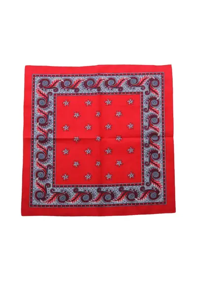 Boerenzakdoek Harlekijn rood  55 x 55 cm Boerenzakdoek Harlekijn rood  55 x 55 cm