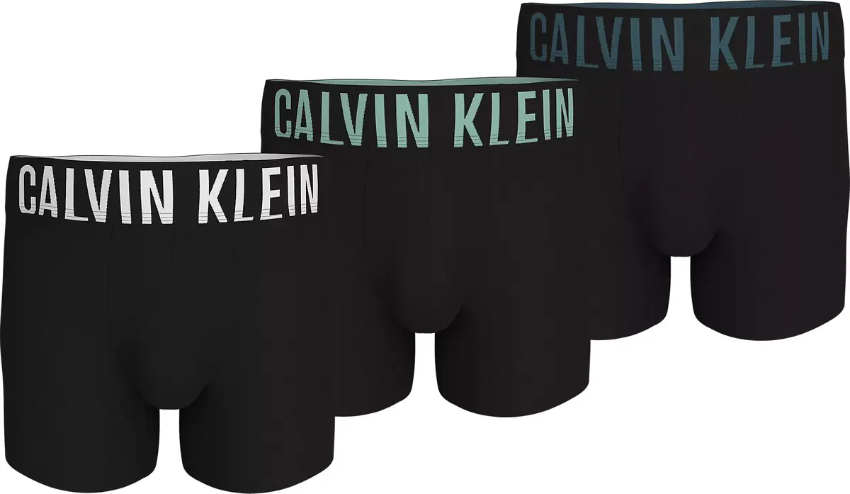 Calvin Klein 3-Pack Boxer Briefs heren - Intense Power - Micro - Microfiber heren boxershorts Calvin Klein 3-Pack Boxer Briefs heren - Intense Power - Micro - Microfiber heren boxershorts