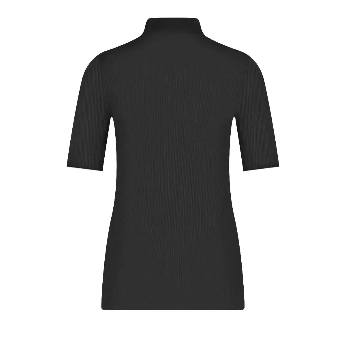 Ten Cate Thermo Rib dames shirt hoge hals - korte mouw- Warm ondershirt vrouwen Ten Cate Thermo Rib dames shirt hoge hals - korte mouw- Warm ondershirt vrouwen