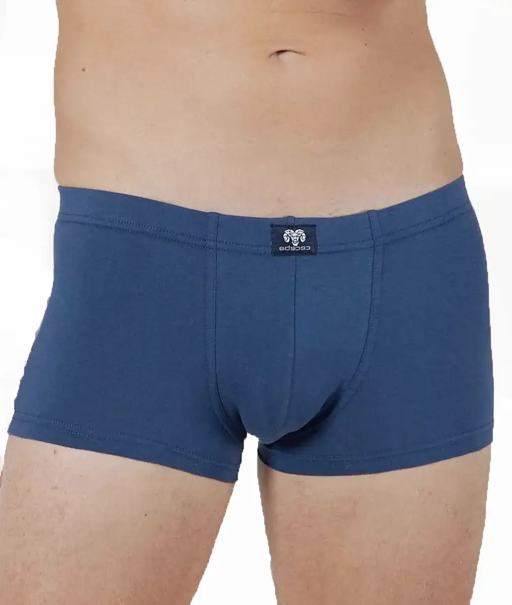 Ceceba 2-pak heren boxershorts 2700 - Blue - Blauw heren ondergoed - Grote maten katoenen onderbroeken