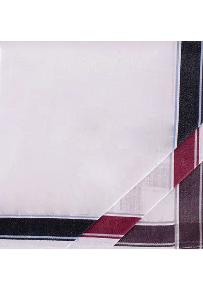 Tiseco 12 stuks Heren zakdoeken - Winter Jack