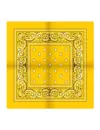 Boerenzakdoek Rain drop 54x54 - Rode zakdoek