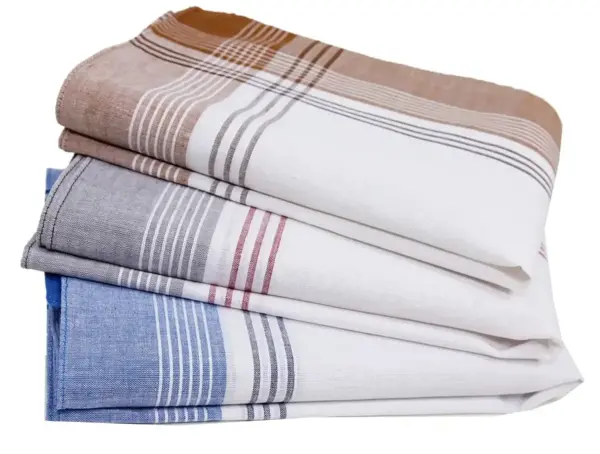 Swan 12 stuks heren zakdoeken - White Summer - Betaalbare katoenen zakdoeken - 100% katoen Swan 12 stuks heren zakdoeken - White Summer - Betaalbare katoenen zakdoeken - 100% katoen