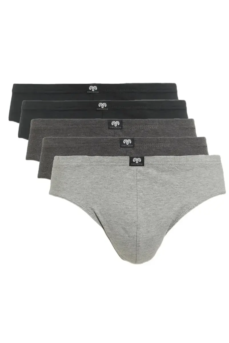 Ceceba 5-pak Heren Slips Katoen - Multipack heren onderbroeken - 100% katoen