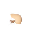 Magic Bodyfashion Schoudervullingen - Shoulderpads - Vormen jouw schouder