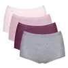 Sloggi 4-pack dames Basic Maxi slips - Pink combi