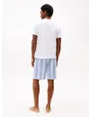 Tommy Hilfiger 3-pak Heren Katoenen T-Shirt V-hals  - Basic ondershirts korte mouw - Ronde hals - Copy