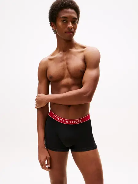 Tommy Hilfiger 5-Pack Heren Boxershorts - Multipack heren onderbroeken en ondergoed - Copy Tommy Hilfiger 5-Pack Heren Boxershorts - Multipack heren onderbroeken en ondergoed - Copy