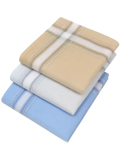 Tiseco 12 stuks Heren zakdoeken dikke kwaliteit 2B  - Dikke en stevige 100% katoenen mannen zakdoeken - Copy