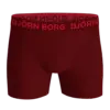 Bjorn Borg 5-Pack heren boxershorts - Cotton Stretch - X-mas