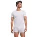 FALKE Heren T-Shirt Daily Climate Control - Wit