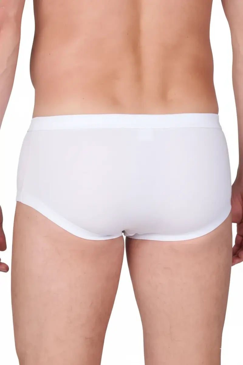 Beeren 6 stuks heren slips met gulp - Voordeelverpakking - Katoenen Heren onderbroek met sluiting - Beeren ondergoed heren Beeren 6 stuks heren slips met gulp - Voordeelverpakking - Katoenen Heren onderbroek met sluiting - Beeren ondergoed heren