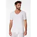 Schiesser 2-Pack T-Shirts heren V-hals - 95/5  - Biologisch katoen - Wit