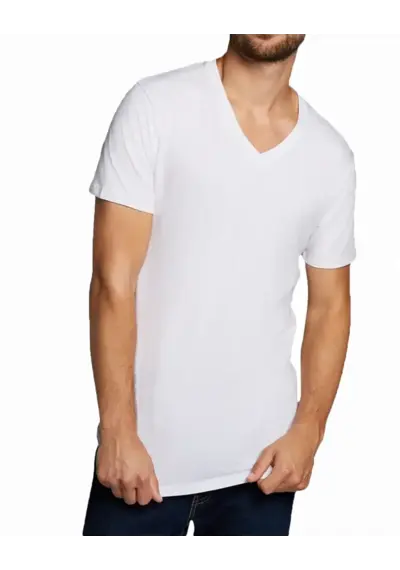 Bamboo Basics 2-pak heren T-shirts V-hals - Velo