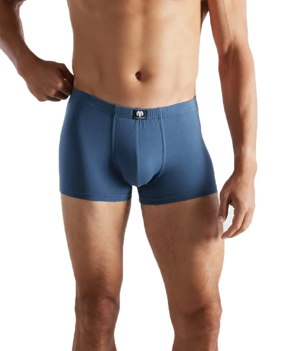 Ceceba 2-pak heren boxershorts 2700 - Blue - Blauw heren ondergoed - Grote maten katoenen onderbroeken