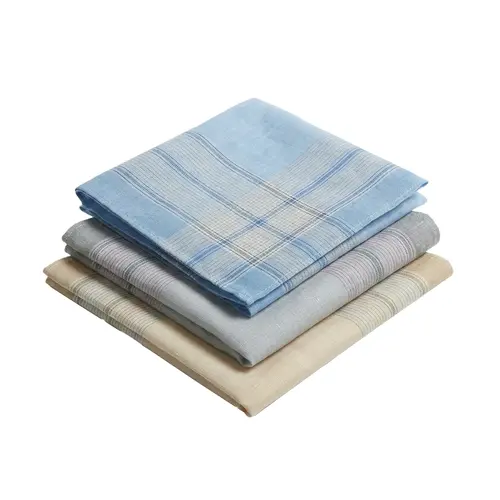 Tiseco 12 stuks Heren zakdoeken - Happy Stripe Tiseco 12 stuks Heren zakdoeken - Happy Stripe