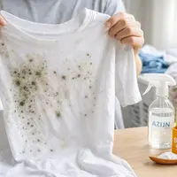 Hoe krijg je schimmel uit je kleding en ondergoed