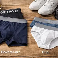 Wat is beter een boxershort of een slip? Wat is beter een boxershort of een slip?