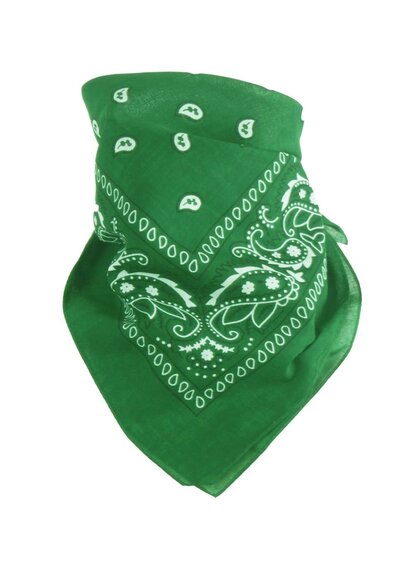 Bandana Rain Drop Groen 54 x 54 cm