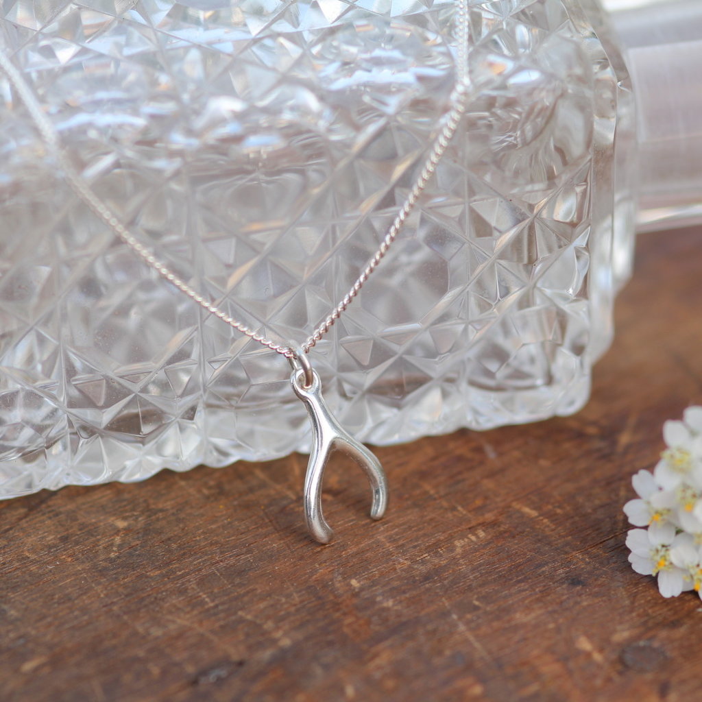 DARCY Silver Wishbone Necklace